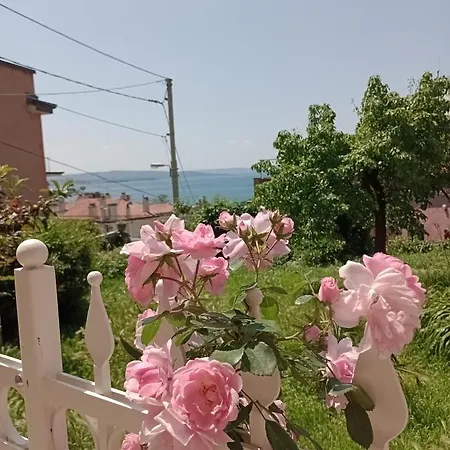 Al Porticciolo Trieste