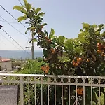 Al Porticciolo Trieste