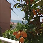 Al Porticciolo * Trieste